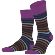 falke-tinted-stripe-socks---rioja-purple-34307612