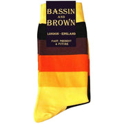 bassin-and-brown-wystan-multi-stripe-socks---yelloworangebrown-35060390
