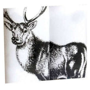 Sophos 2 Pack Stag Handkerchief - White/Black