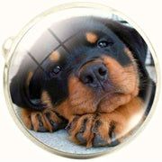 Bassin and Brown Rottweiler Cufflinks - Brown/Black
