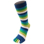 TOETOE Essential Striped Mid Calf Socks - Pond Green